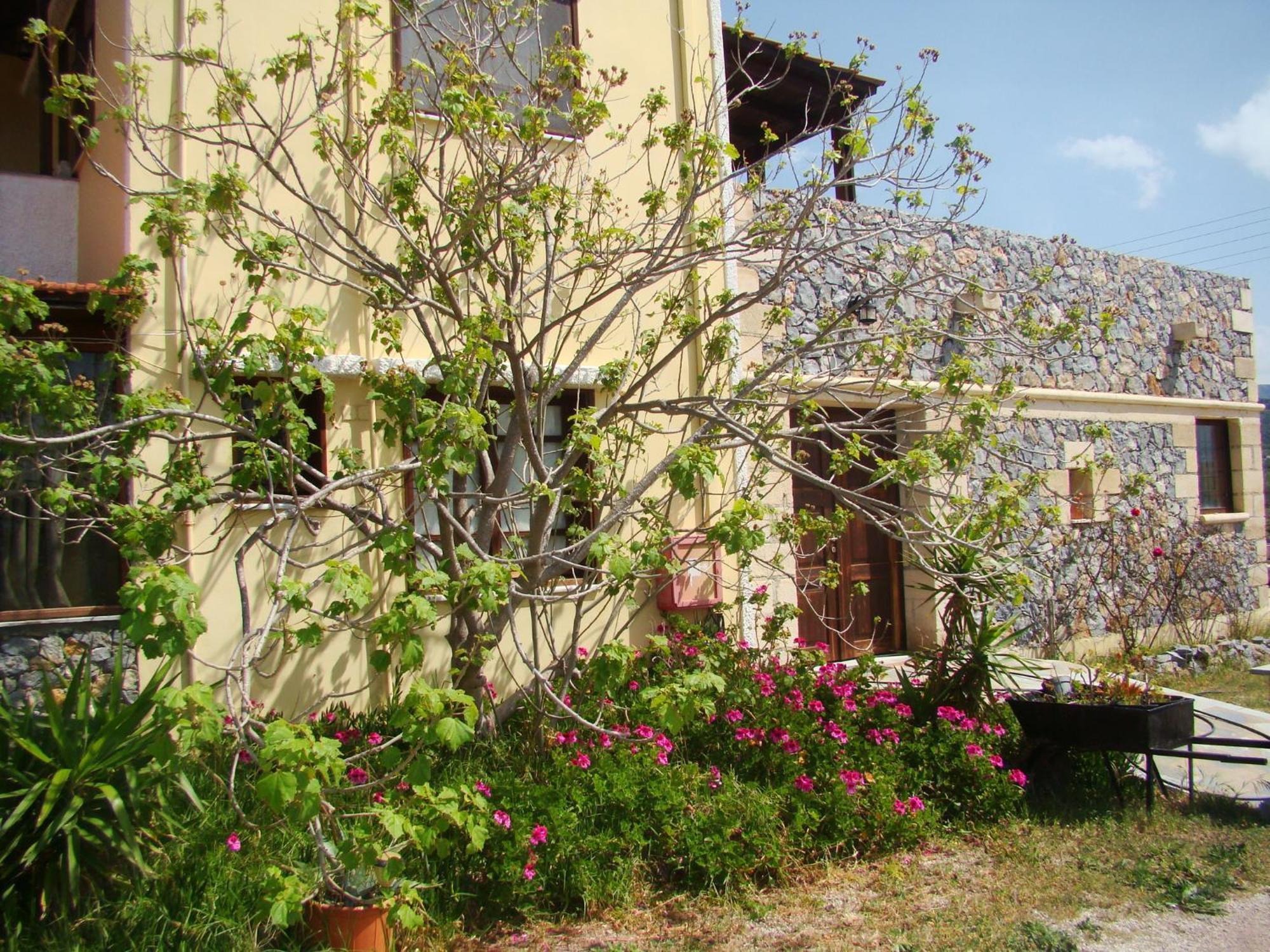 קיסאמוס Drapania Beach Marinakis מראה חיצוני תמונה